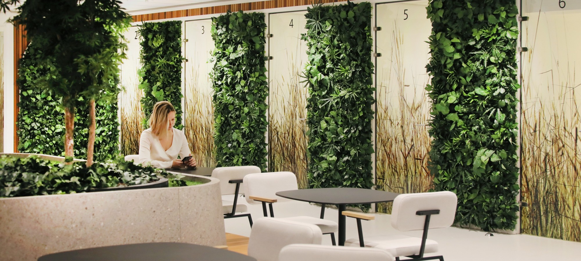 Visual_Branding_Privacy_HDV