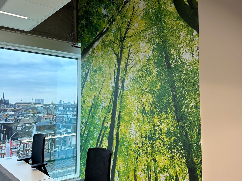 Grafische wanddecoratie kantoor