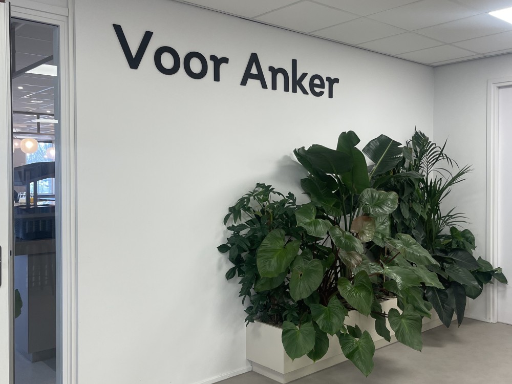 Visuele identiteit omring